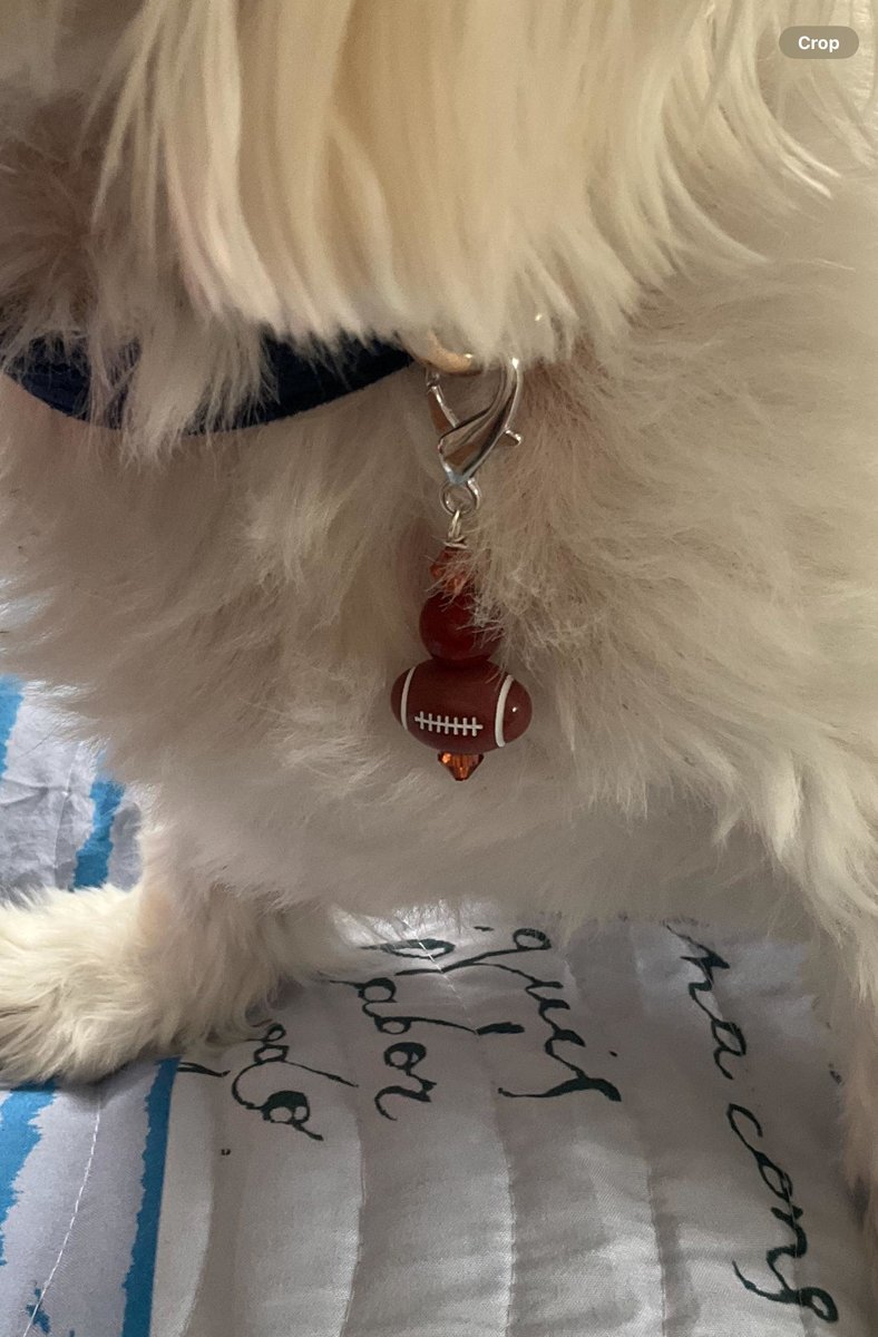 Pet Protection Collar Charm  | Dog Collar Accessory for Football Fans | Gemstone Pet Gift