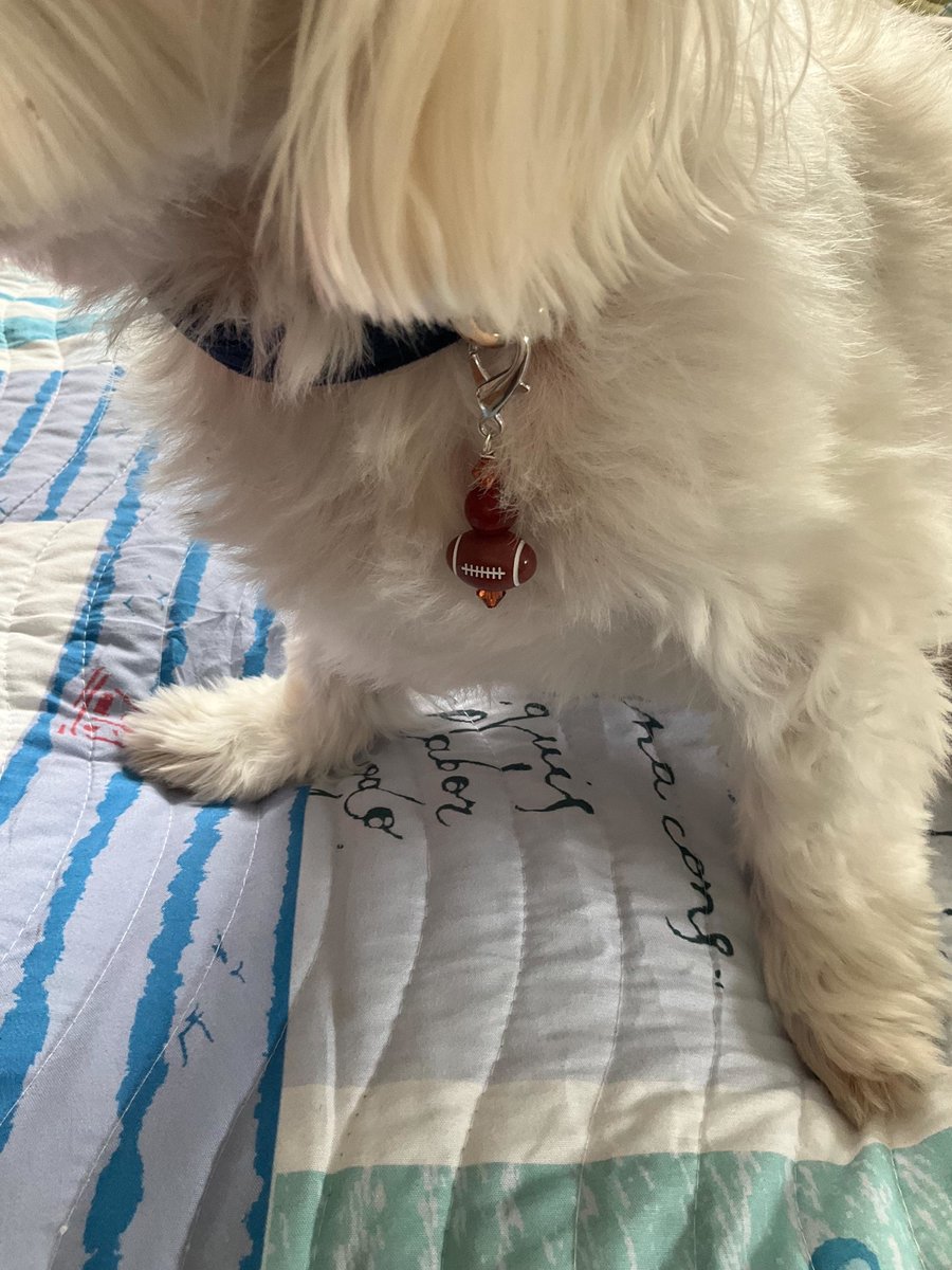 Pet Protection Collar Charm  | Dog Collar Accessory for Football Fans | Gemstone Pet Gift